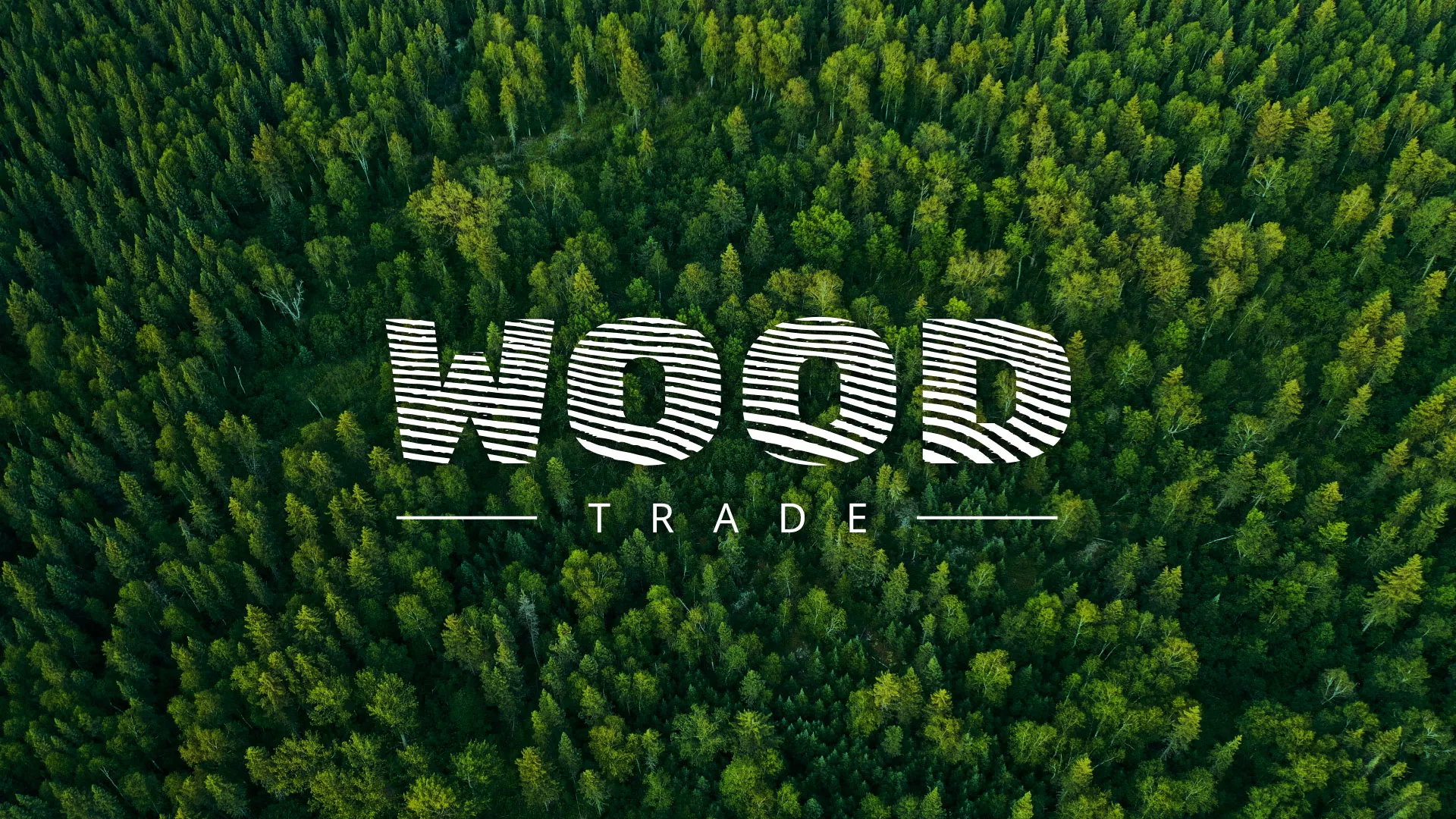 Разработка интернет-магазина компании «Wood Trade» в Родниках